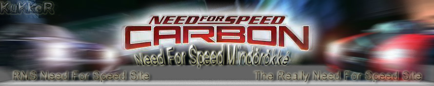 RNS Need for Speed«»»»»The Really NFS Site